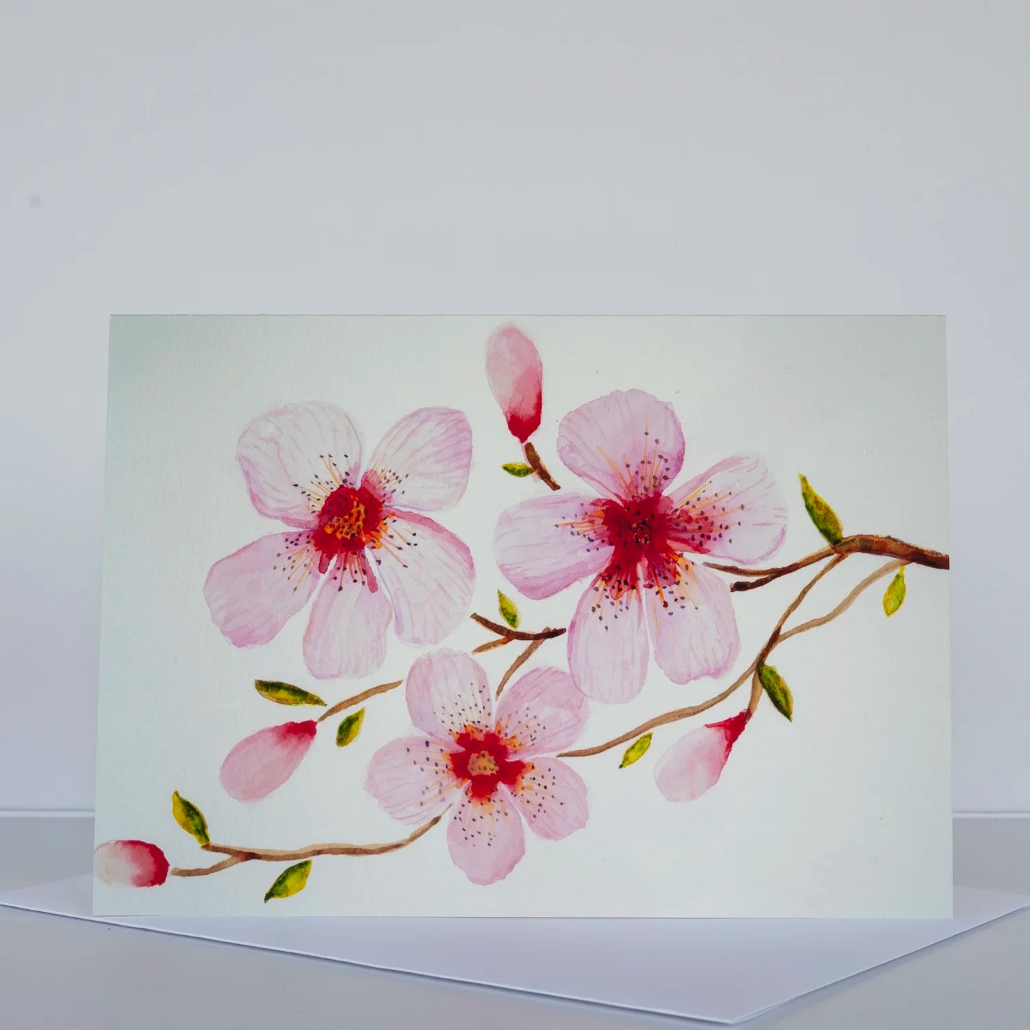 Morgan Tyler Botanical Cards