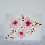 Morgan Tyler Botanical Cards