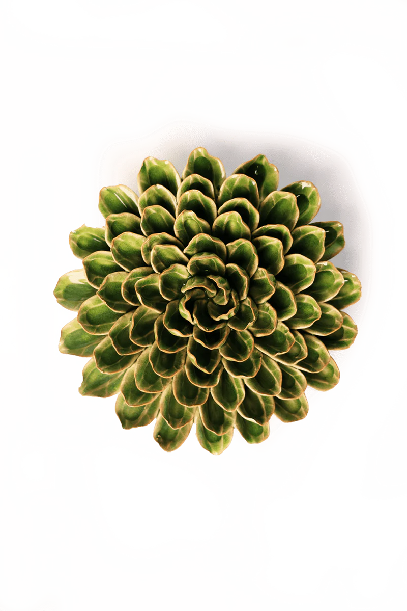 Chive English Garden Collection