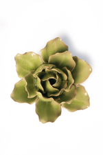 Chive English Garden Collection