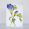 Morgan Tyler Botanical Cards