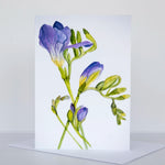 Morgan Tyler Botanical Cards