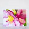 Morgan Tyler Botanical Cards