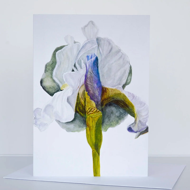 Morgan Tyler Botanical Cards