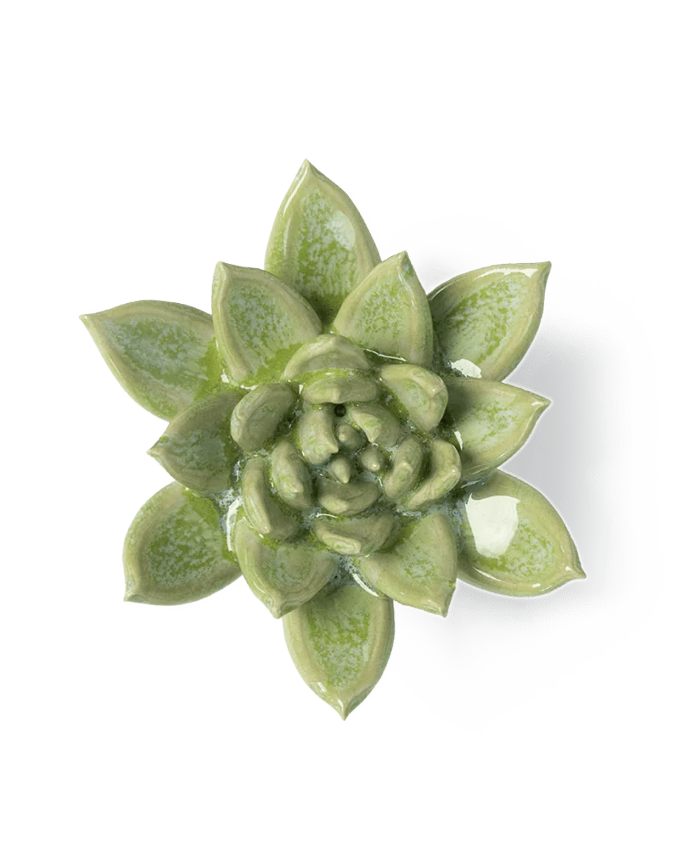 Pea Green Succulent Ceramic Flower