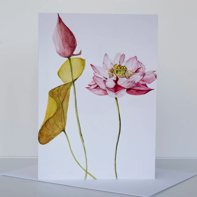 Morgan Tyler Botanical Cards