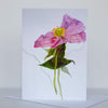 Morgan Tyler Botanical Cards