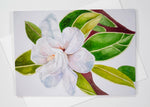 Morgan Tyler Botanical Cards