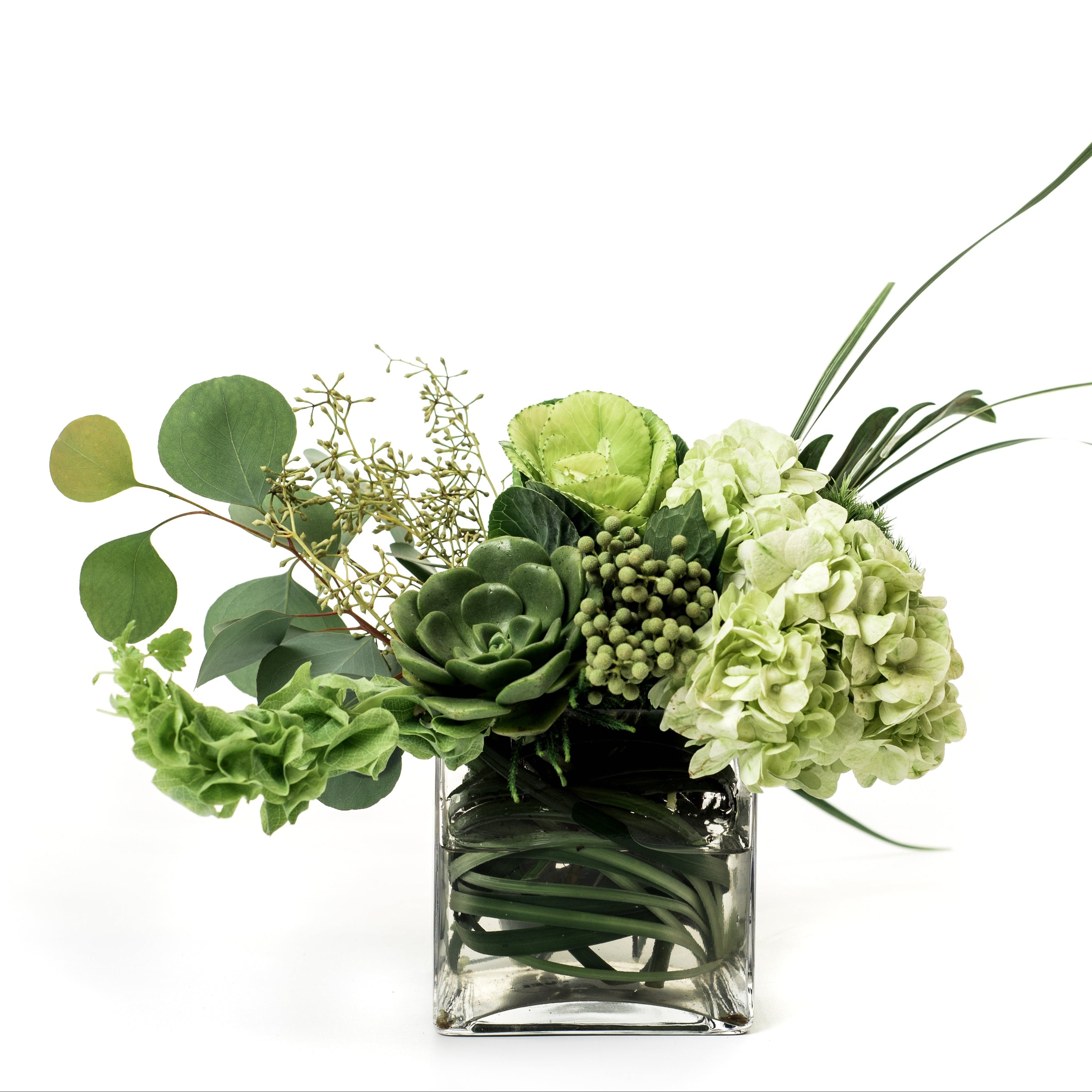 A green floral arrangement featuring hydrangeas, succulents, eucalyptus, and long grassy stems in a clear square glass vase, photographed on a white background.