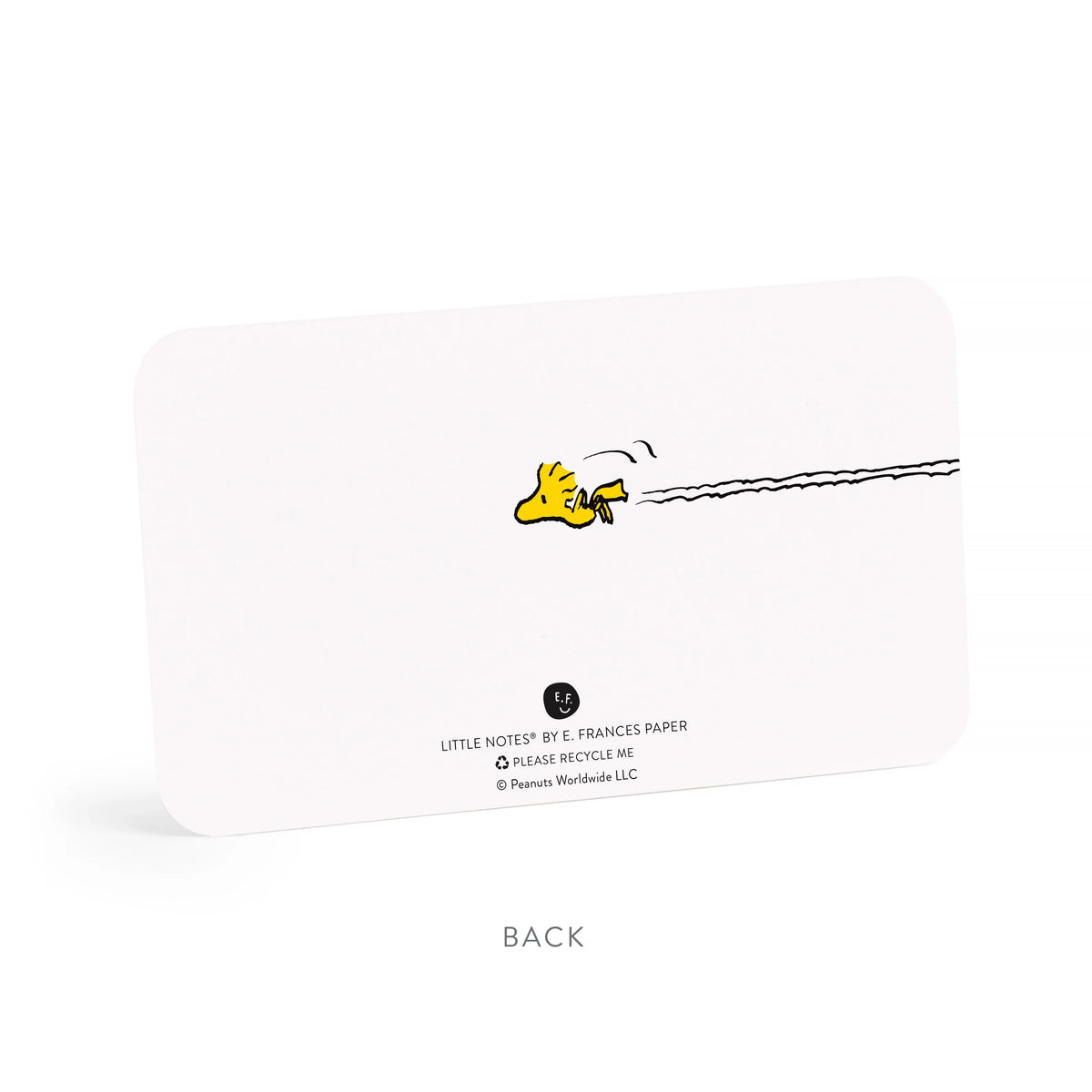Snoopy Doghouse Little Notes