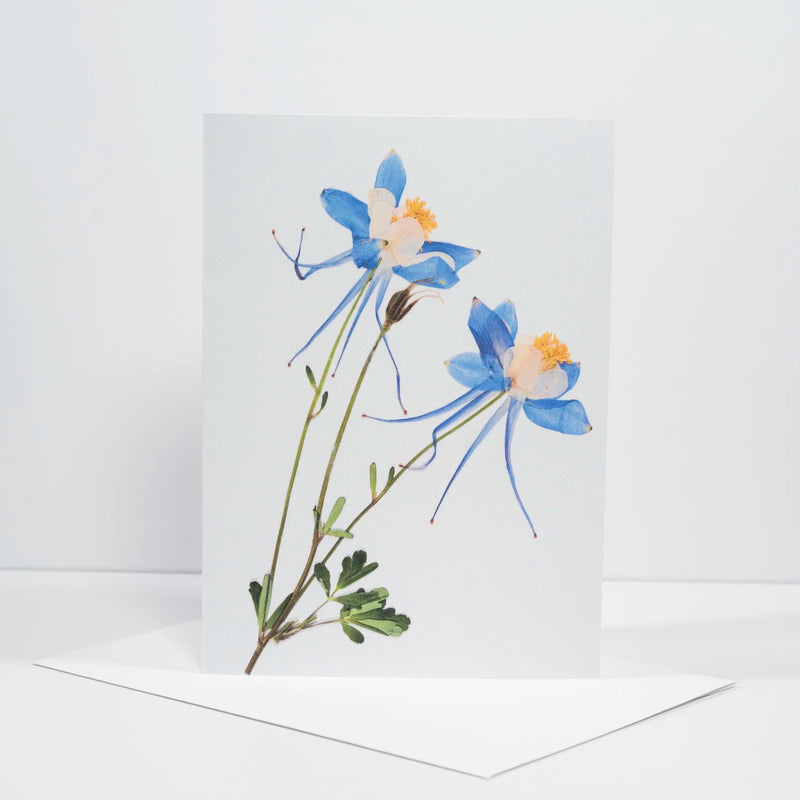 Morgan Tyler Botanical Cards