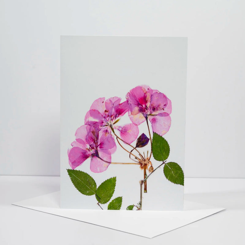 Morgan Tyler Botanical Cards