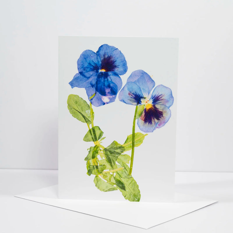 Morgan Tyler Botanical Cards