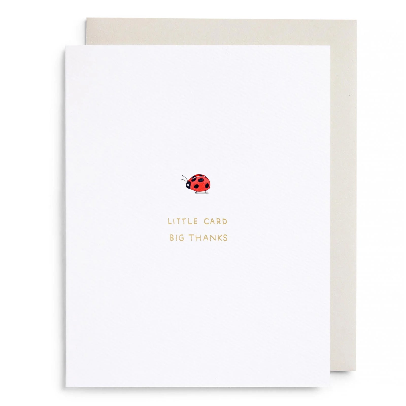 Little Card Big Thanks Greeting Card