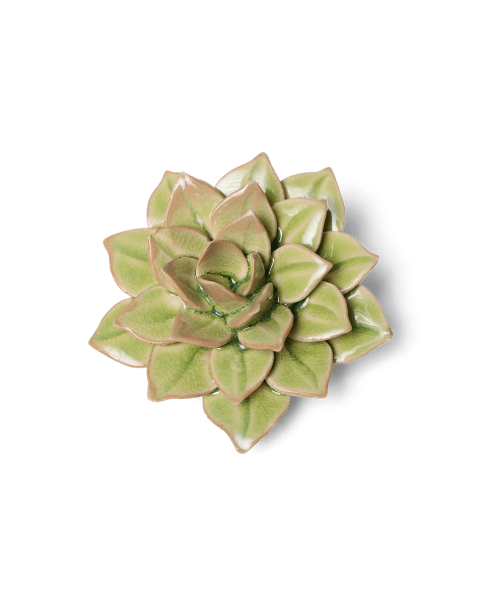 Peridot Green Fairy Echeveria Ceramic Flower