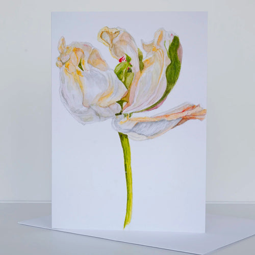 Morgan Tyler Botanical Cards