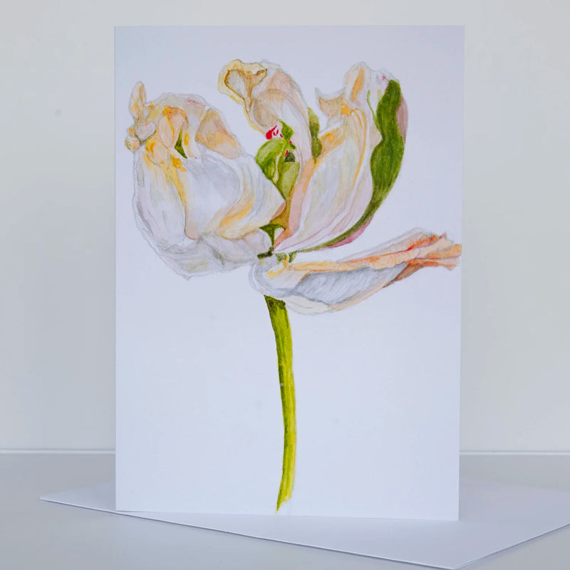 Morgan Tyler Botanical Cards