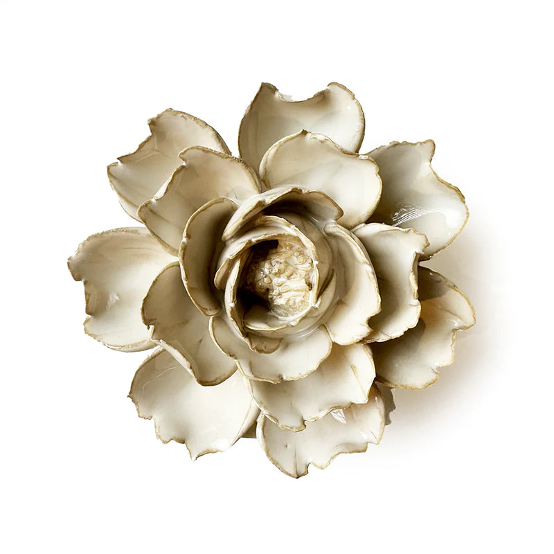 Chive Rose Ivory