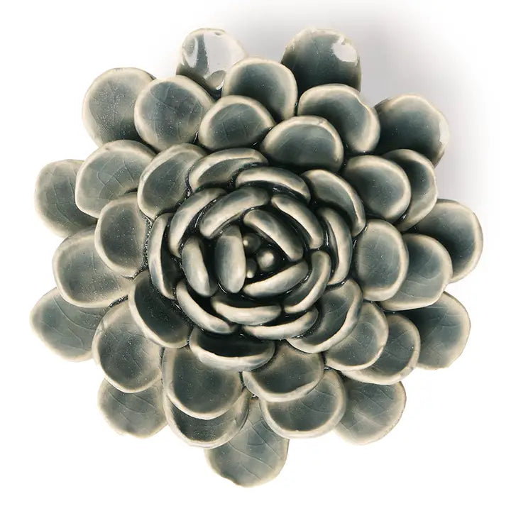 Pewter Blue Zinnea