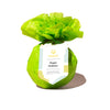 Musee Holiday Bath Bombs