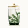 Thymes Frasier Fir Pine Needle Luminary Ass't Sizes