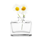 Vases