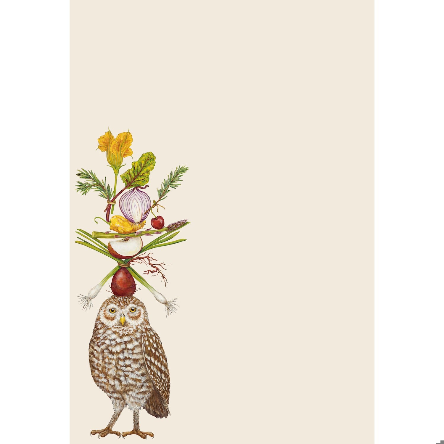 Hester & Cook Notepad