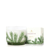 Thymes Frasier Fir Pine Needle Luminary Ass't Sizes