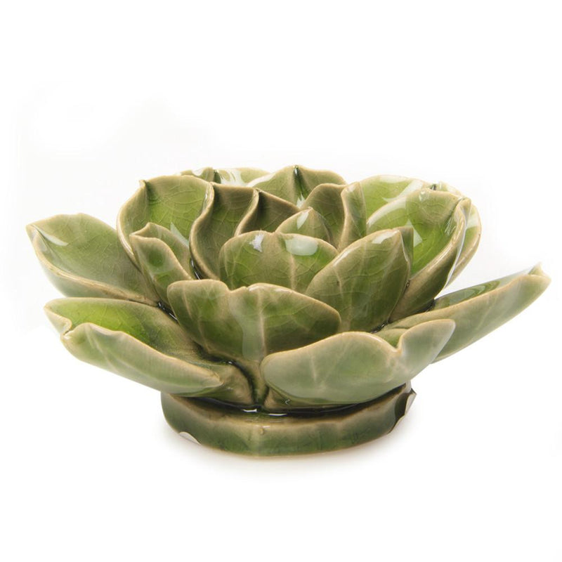 Chive C11 Flower Green