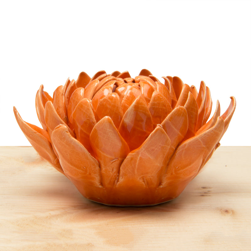 Chive C4 Dahlia