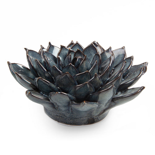 Chive C6 Large Succulent Blue Grey