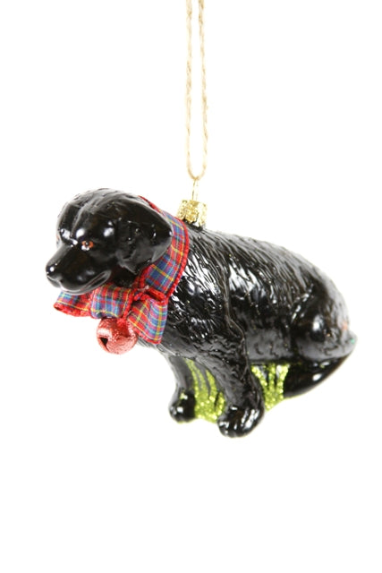 Cody Foster Festive Black Lab Ornament