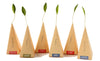 Tea Forte Individual Tea Bags