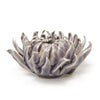 Chive Mum assorted colors