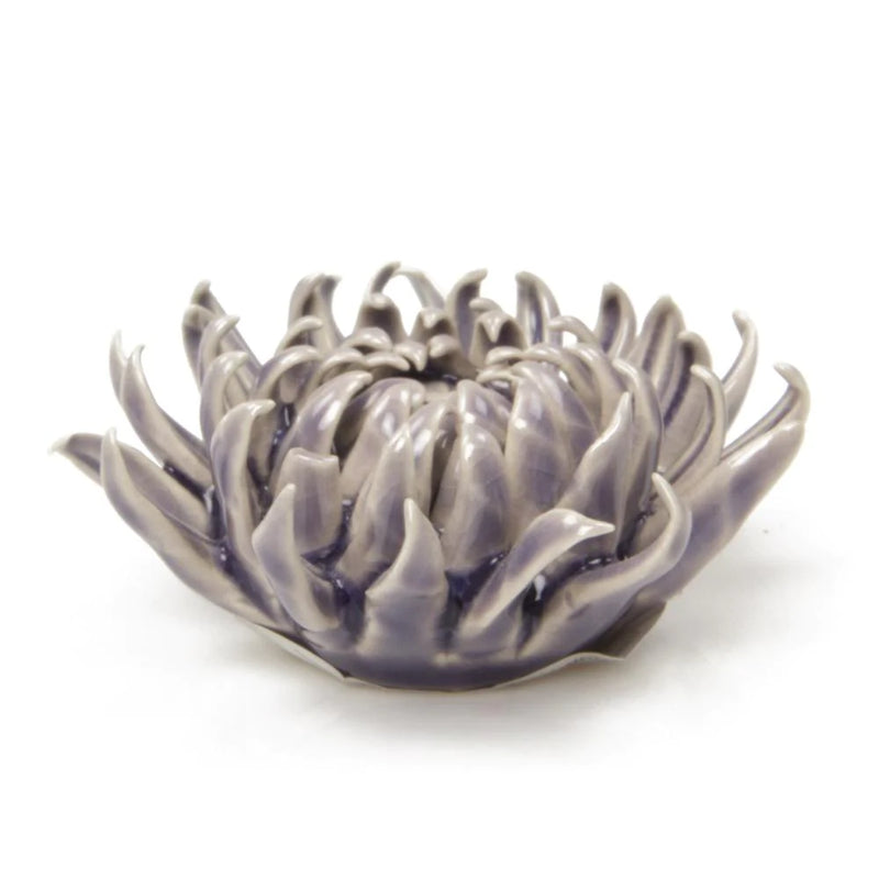 Chive Mum assorted colors